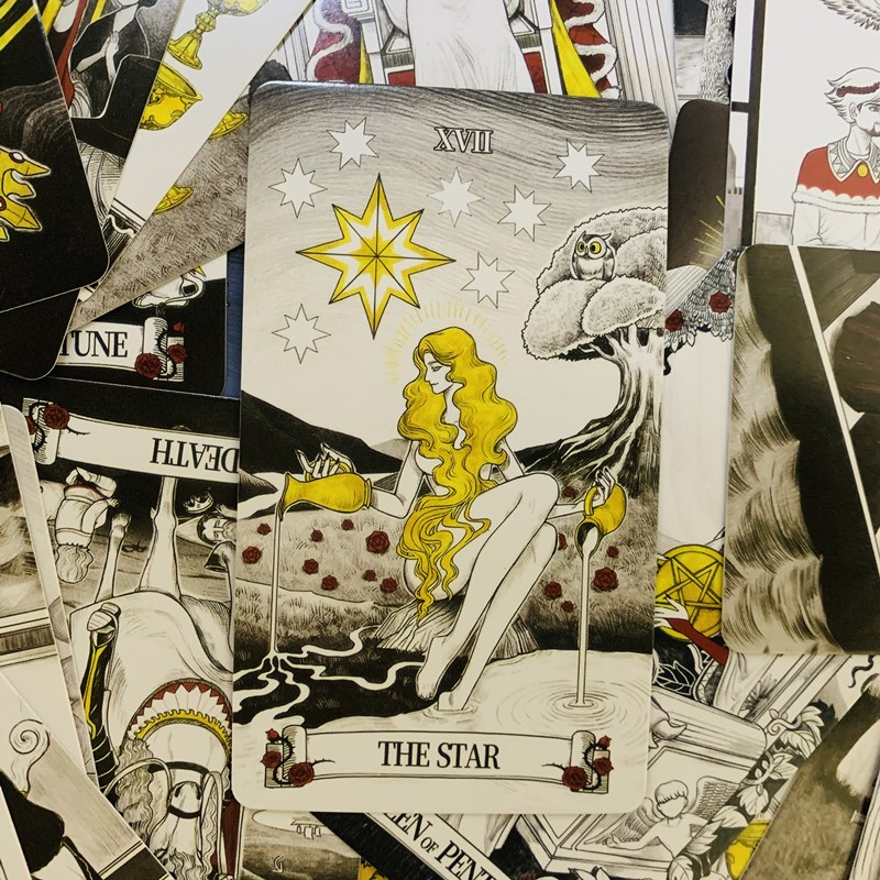Secret Mirror Tarot kaarten 80 - Board Game Life recensie en prijs
